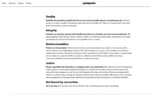 A screenshot of Patagonia's website that states their brand values.